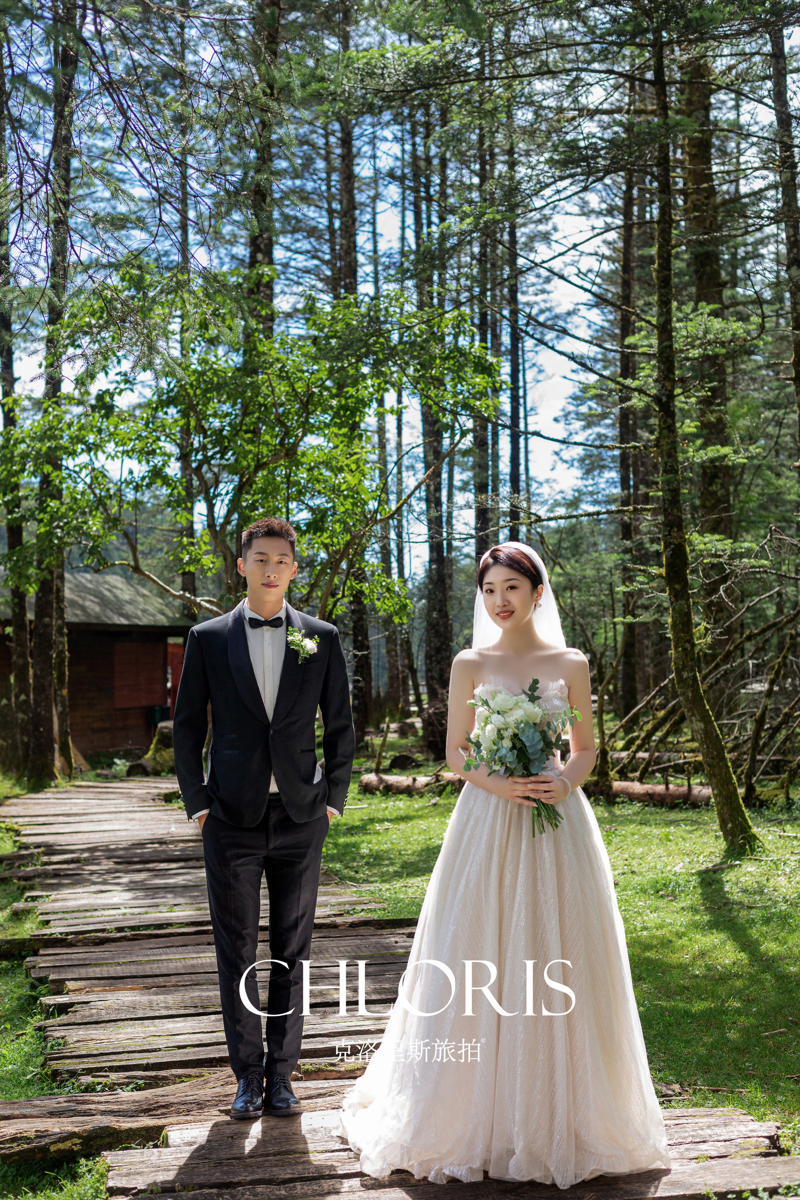 客片-云杉坪森系2