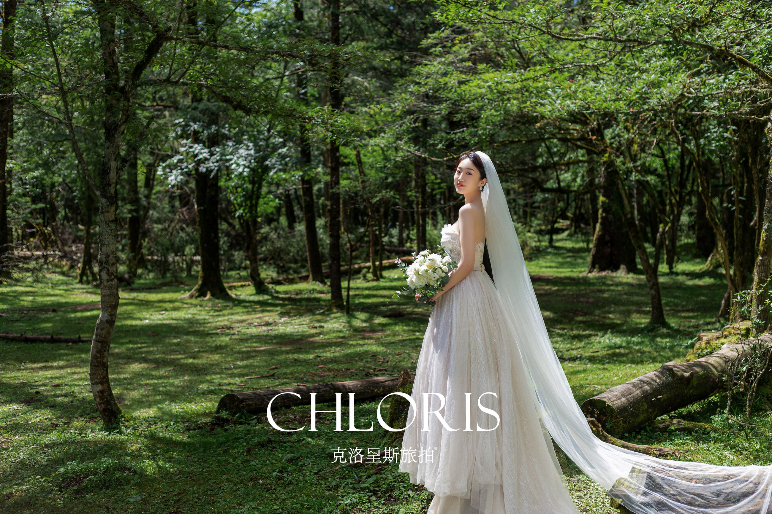 客片-云杉坪森系7