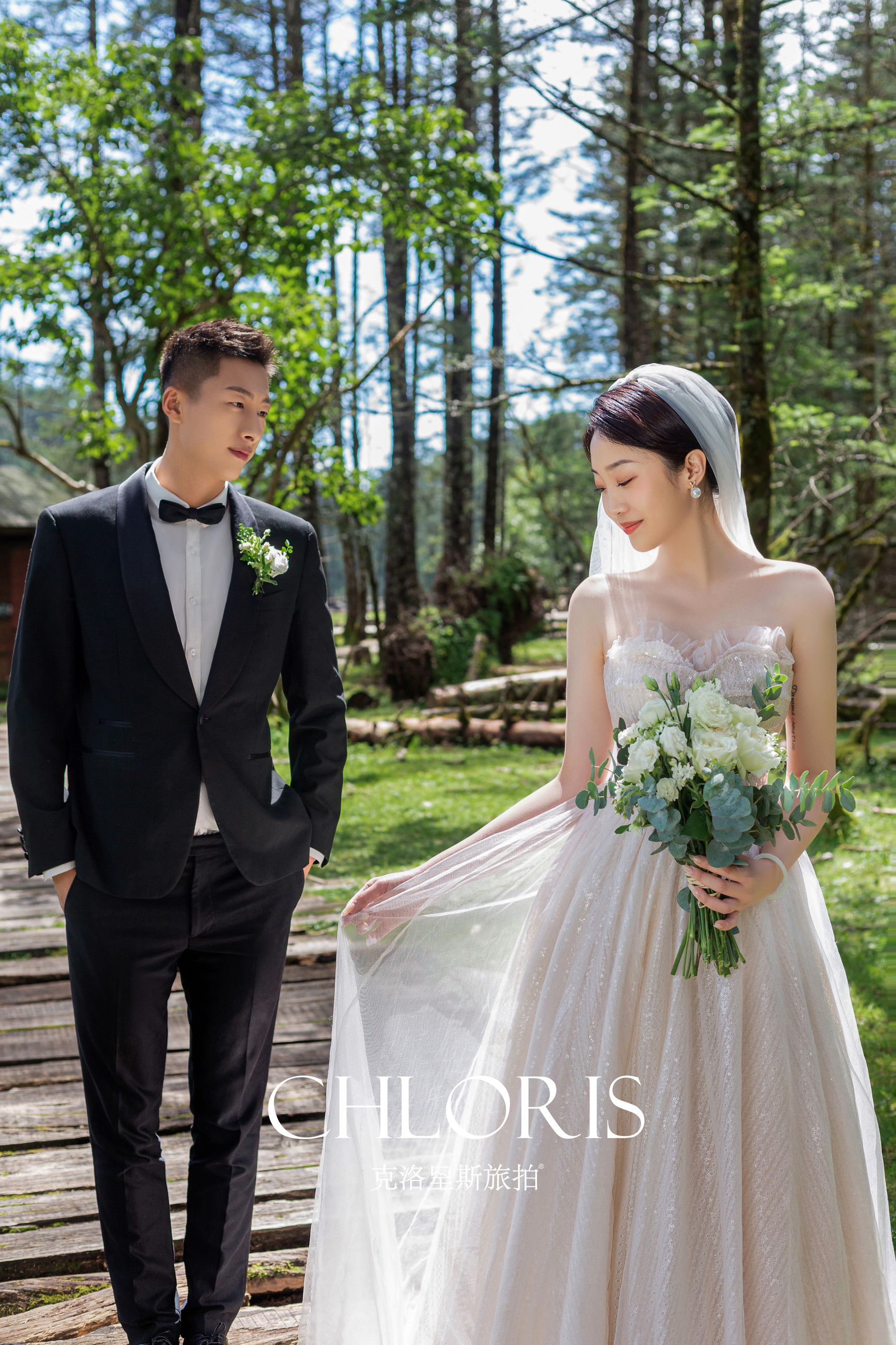 客片-云杉坪森系1