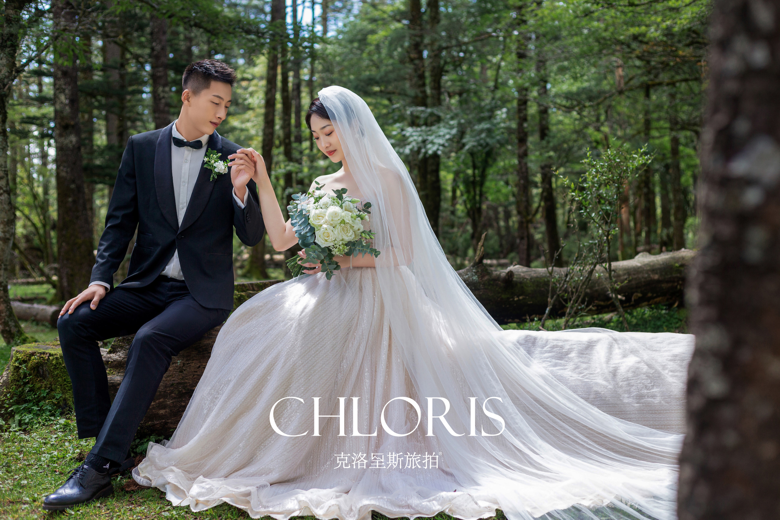 客片-云杉坪森系3