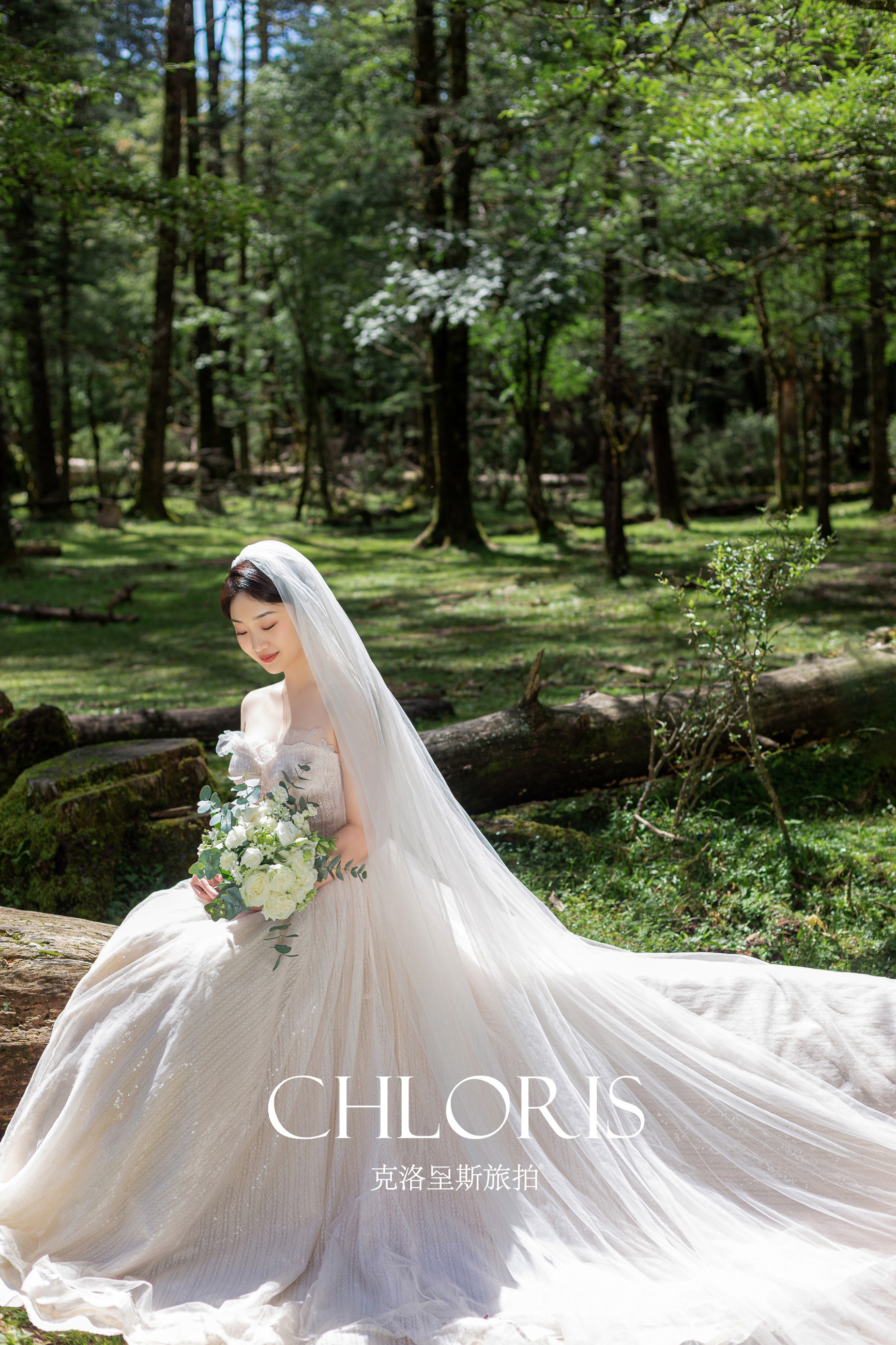 客片-云杉坪森系6