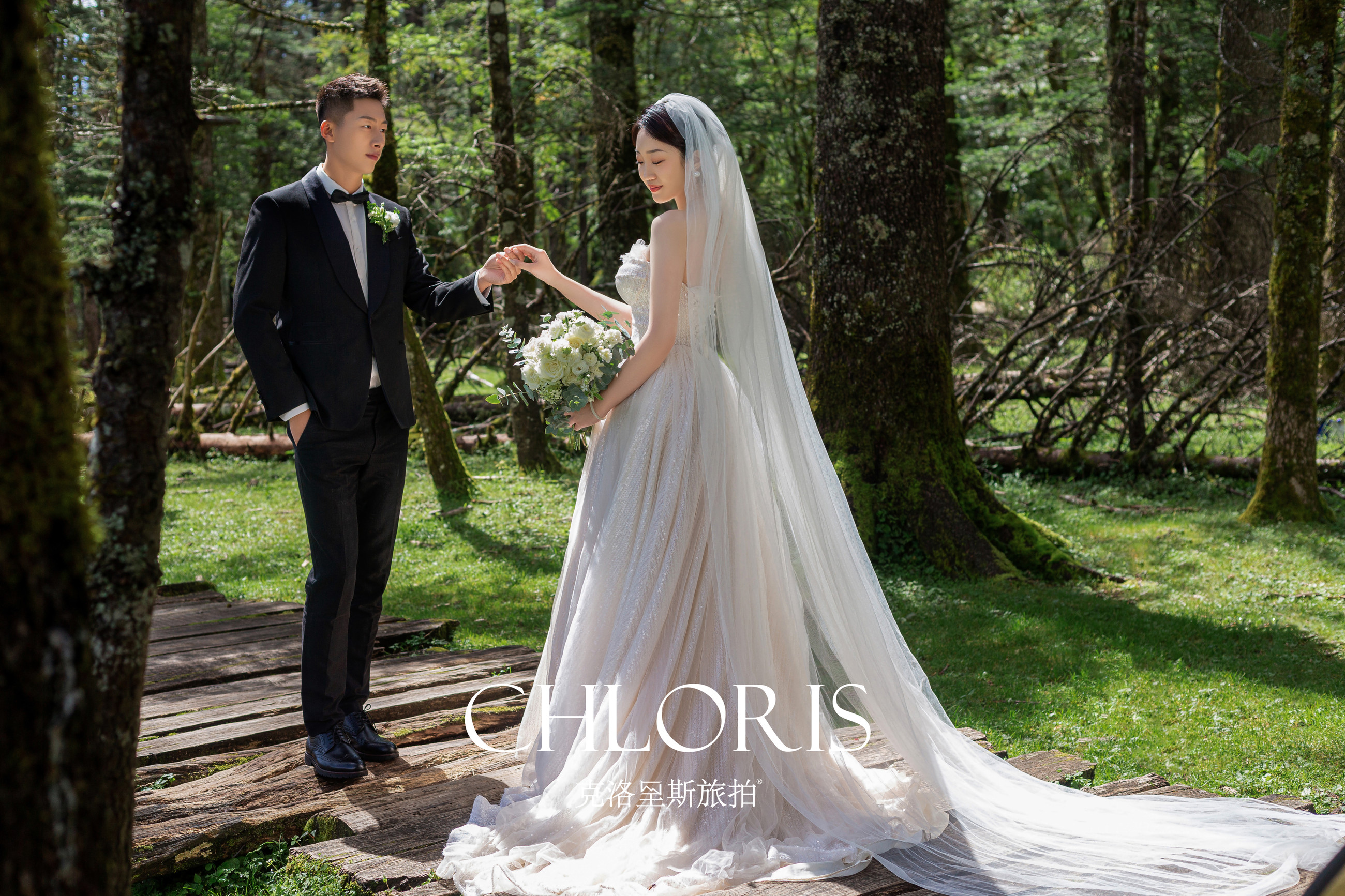 客片-云杉坪森系4