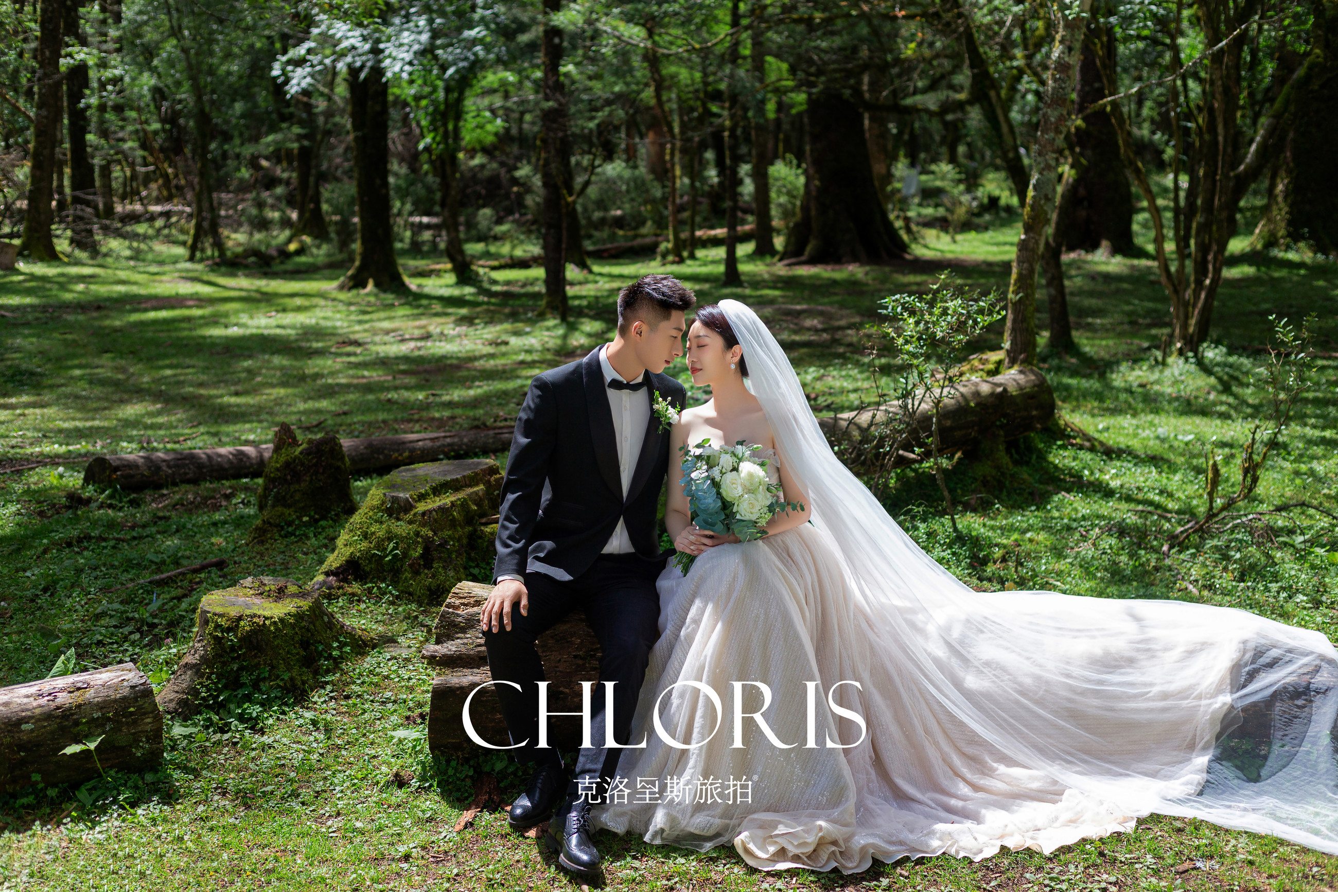 客片-云杉坪森系5