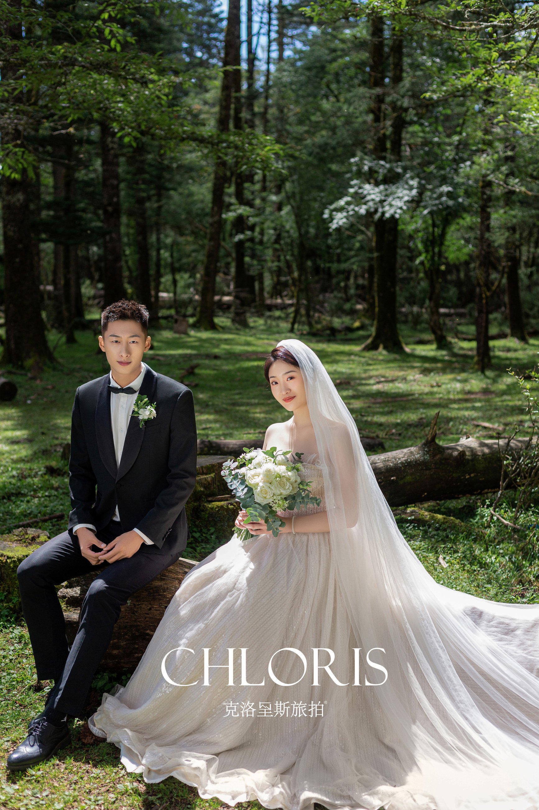 客片-云杉坪森系0